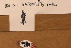 Un niño le dejó una mascarilla al Ratón Pérez