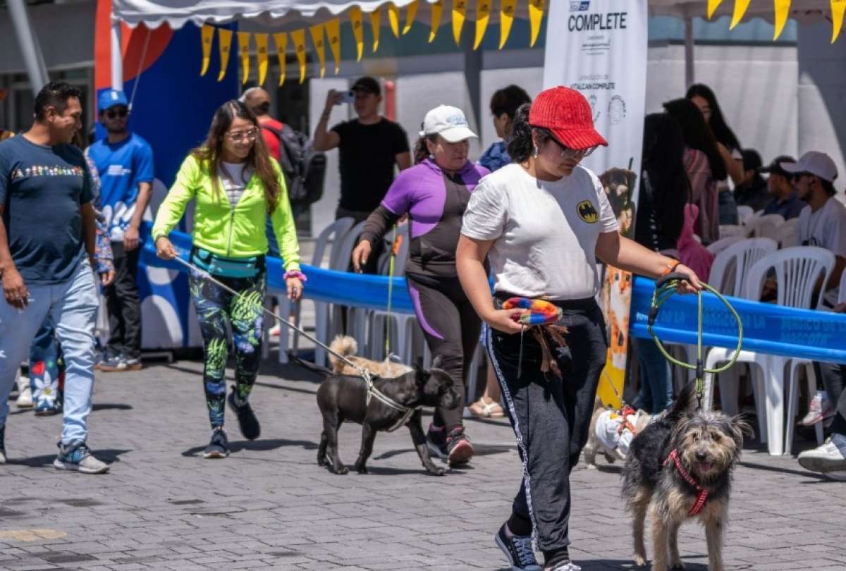 El sábado y domingo habrá un festival animal