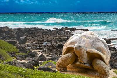Gal&aacute;pagos, un lugar para visitar por sus 488 a&ntilde;os de descubrimiento