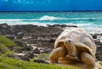 Gal&aacute;pagos, un lugar para visitar por sus 488 a&ntilde;os de descubrimiento