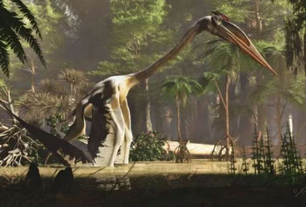 Hallan restos de un dinosaurio que vivi&oacute; hace 100 millones de a&ntilde;os en Australia