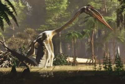 Hallan restos de un dinosaurio que vivi&oacute; hace 100 millones de a&ntilde;os en Australia