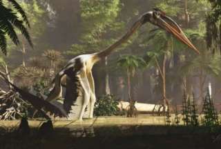 Hallan restos de un dinosaurio que vivi&oacute; hace 100 millones de a&ntilde;os en Australia