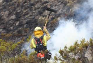 Incendio forestal en el Pichincha es controlado