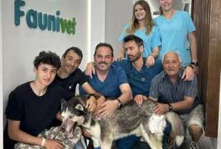 Rex, emotiva historia de un perro que nadie quer&iacute;a operar