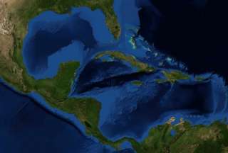 La bacteria m&aacute;s grande del mundo ha sido encontrada en un manglar del mar Caribe