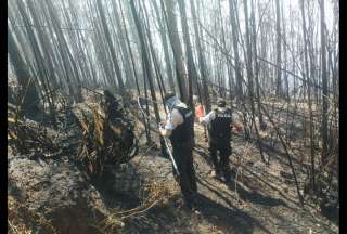 Gobierno present&oacute; denuncia formal sobre incendios en Quito