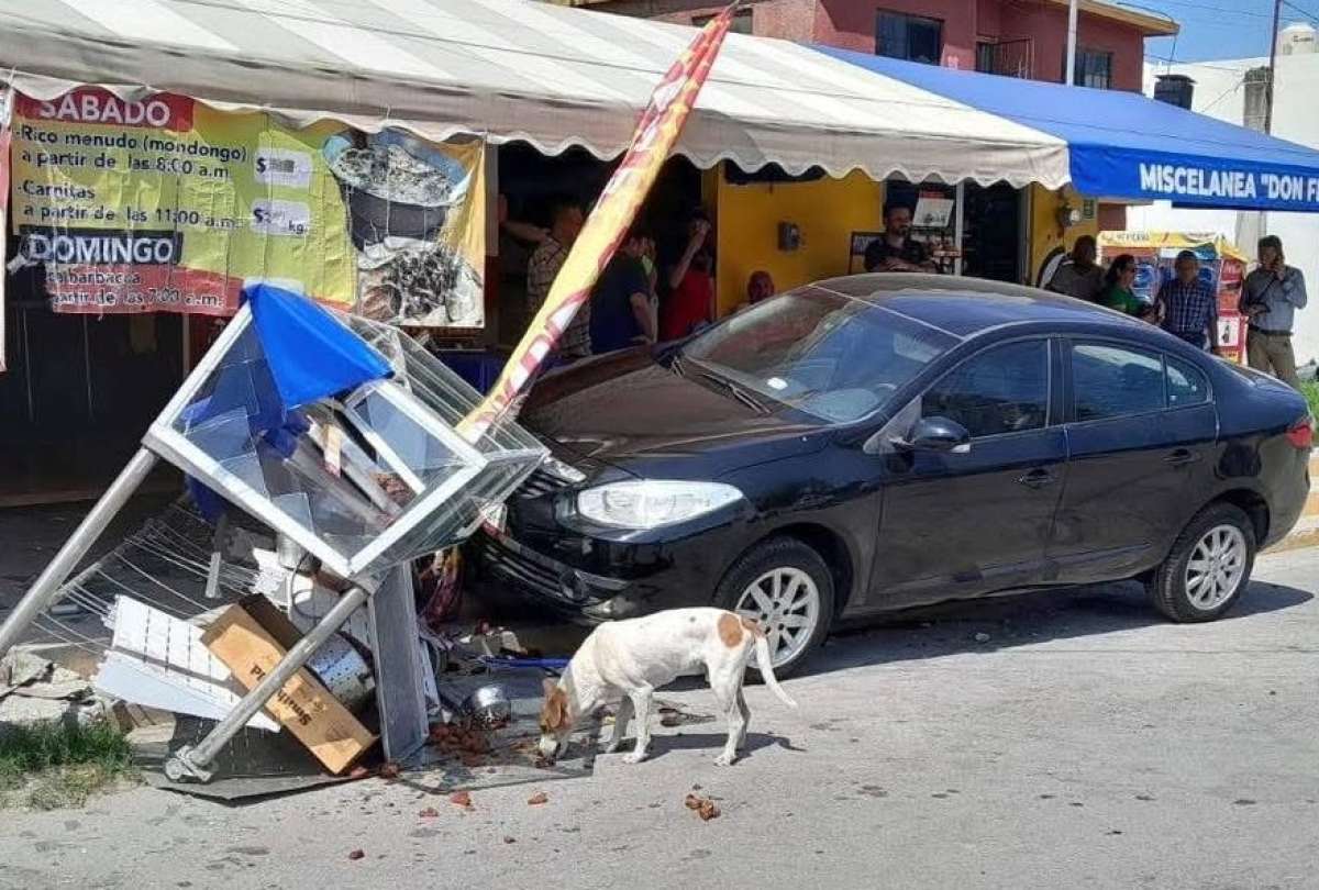 Un accidente de tránsito hizo “felices” a dos perritos. 