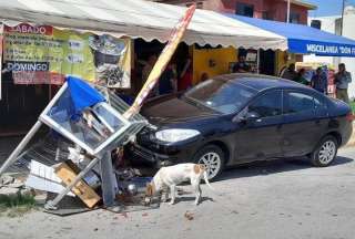 &iexcl;Tierno momento! Perritos aprovecharon un accidente de tr&aacute;nsito para comer