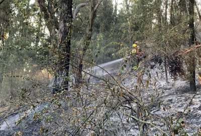 Estas son las acciones para brindar protecci&oacute;n y asistencia a los afectados por los incendios forestales.