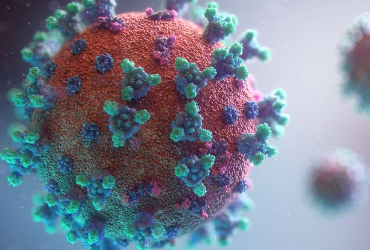 OMS considera que la pandemia est&aacute; a punto de terminar