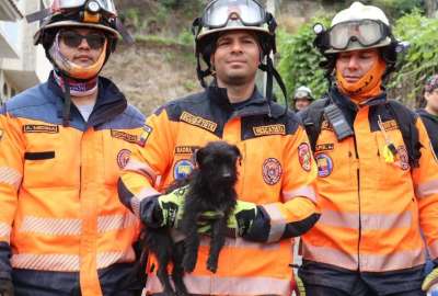 Mascotas sobrevivientes del deslizamiento en Alaus&iacute; buscan un hogar
