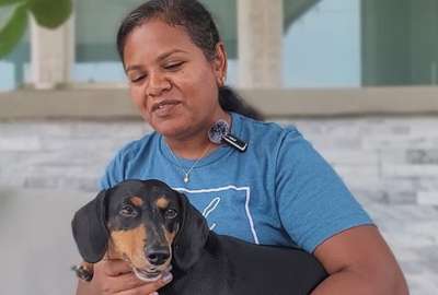 Conoce a Jerry: el perro salchicha que gan&oacute; un R&eacute;cord Guiness