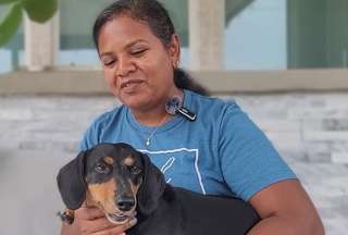 Conoce a Jerry: el perro salchicha que gan&oacute; un R&eacute;cord Guiness