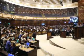 Consulta Popular: &iquest;Qu&eacute; plantea la pregunta 4 sobre reducci&oacute;n de asamble&iacute;stas?