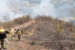 Incendio en Azuay: m&aacute;s de 50 hect&aacute;reas se han consumido en Jima