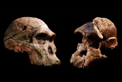 La 'Cuna de la Humanidad' puede ser un mill&oacute;n de a&ntilde;os m&aacute;s antigua
