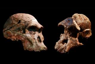 La 'Cuna de la Humanidad' puede ser un mill&oacute;n de a&ntilde;os m&aacute;s antigua
