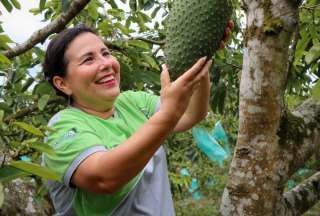 Mujeres emprendedoras del sector agr&iacute;cola se benefician con nueva ley