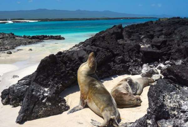 Las Islas Gal&aacute;pagos como destino tur&iacute;stico
