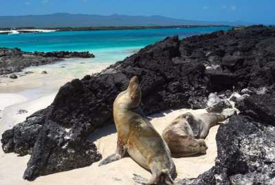 Las Islas Gal&aacute;pagos como destino tur&iacute;stico