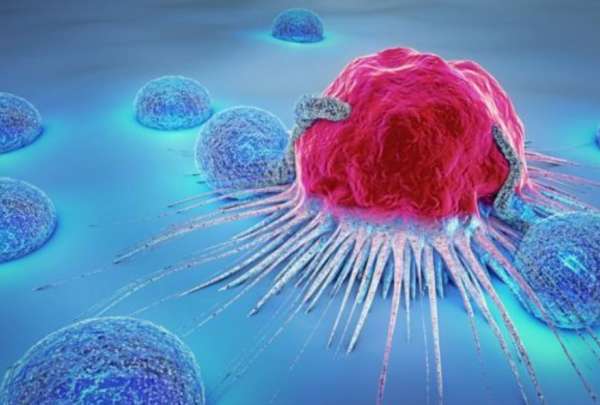 IFI comprometida con el desarrollo de medicamentos para mejorar la esperanza de vida de los pacientes con c&aacute;ncer