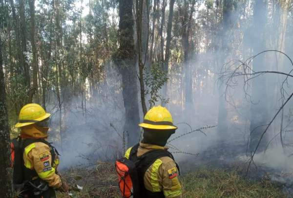 El Cuerpo de Bomberos control&oacute; un incendio en el sector de Miraflores.