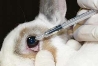 Canad&aacute; proh&iacute;be el uso de animales para probar productos cosm&eacute;ticos
