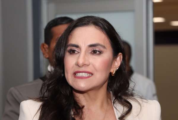 Seg&uacute;n constitucionalista, Ver&oacute;nica Abad incurrir&iacute;a en un abandono del cargo sino se traslada a Turqu&iacute;a.