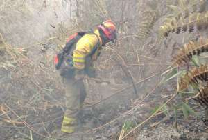 La Secretar&iacute;a Nacional de Gesti&oacute;n de Riesgos confirm&oacute; que los incendios en San Loja y en Azuay fueron liquidados.