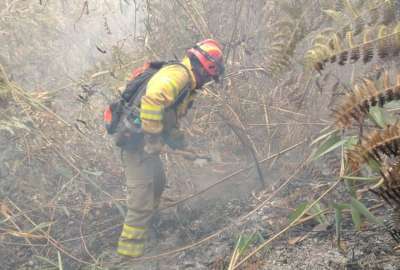 La Secretar&iacute;a Nacional de Gesti&oacute;n de Riesgos confirm&oacute; que los incendios en San Loja y en Azuay fueron liquidados.