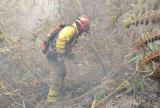 Azuay y Loja: Incendios fueron liquidados
