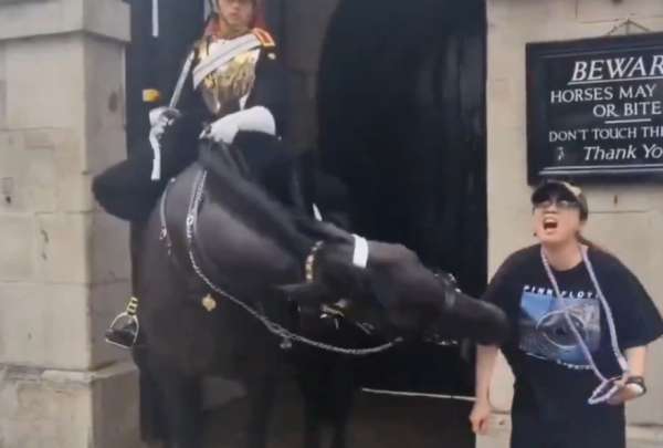 En Inglaterra, una mujer turista fue agredida por un caballo de la Guardia Real del Palacio de Buckingham&nbsp;  NOTA
