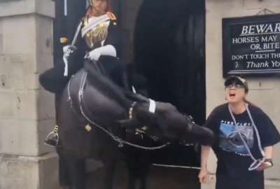 En Inglaterra, una mujer turista fue agredida por un caballo de la Guardia Real del Palacio de Buckingham NOTA