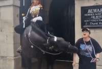 En Inglaterra, una mujer turista fue agredida por un caballo de la Guardia Real del Palacio de Buckingham NOTA
