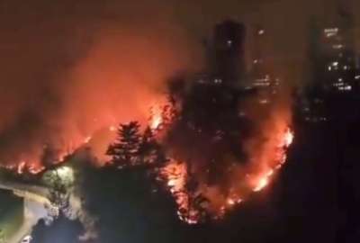 En Gu&aacute;pulo se registr&oacute; el pasado 24 de septiembre un incendio forestal que dej&oacute; graves p&eacute;rdidas. Se ratific&oacute; la sentencia de prisi&oacute;n al responsable.