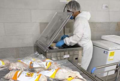 Los cuyes envasados al vac&iacute;o en Azuay llegaron a Nueva York. 