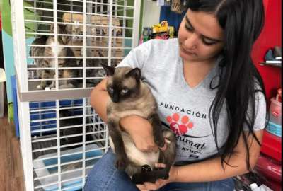 Una nueva jornada de adopci&oacute;n se realizar&aacute; en Guayaquil