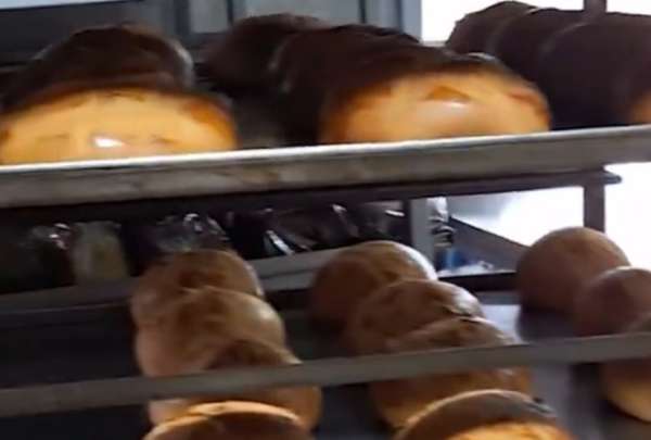 Conozca los hallazgos que se hicieron en dos panader&iacute;as del sur de Quito. &iexcl;Te sorprender&aacute;s!