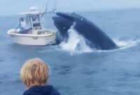 Una ballena destruy&oacute; una embarcaci&oacute;n en Estados Unidos. 