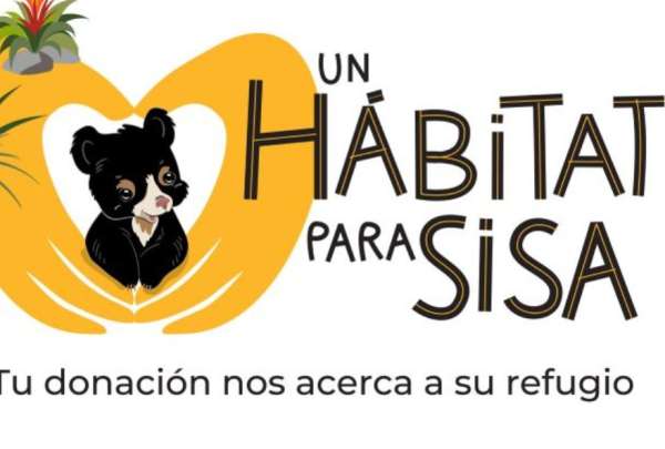 El Zool&oacute;gico de Quito emprende una campa&ntilde;a para recaudar fondos y construir un espacio adaptado al h&aacute;bitat natural de la osezna andina