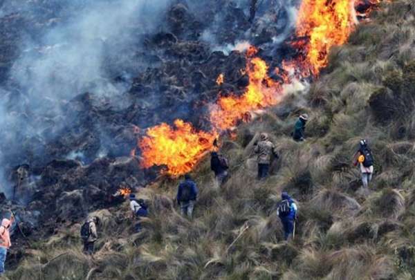 Tras los incendios registrados en Azuay y Loja, el Ministerio de Educaci&oacute;n determin&oacute; la no presencialidad en varias instituciones educativas.&nbsp;