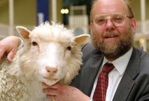 Se cumplen 26 a&ntilde;os del nacimiento de Dolly, el primer mam&iacute;fero clonado