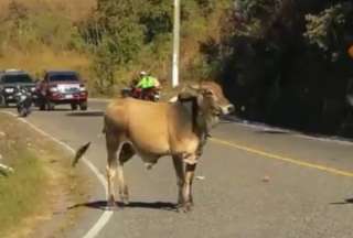 &iexcl;P&aacute;nico en el Tour de La Paz!
