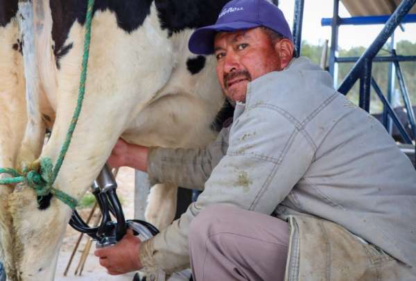 Ecuador tiene un nuevo mercado para sus productos l&aacute;cteos