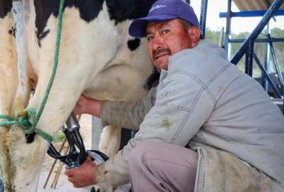 Ecuador tiene un nuevo mercado para sus productos l&aacute;cteos