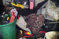 Armas de fuego, droga y motocicletas reportadas como robadas se incautaron en el operativo.