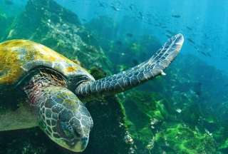 Gal&aacute;pagos y Ecuador brillaron en los premios Wanderlust Reader Travel Awards