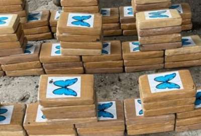 Autoridades encontraron droga en hacienda bananera