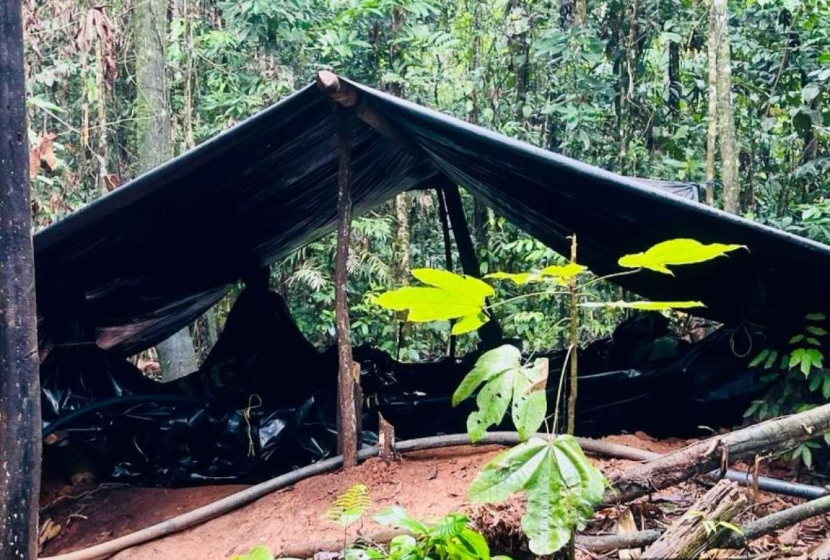 El operativo militar halló un complejo ilegal con 6,000 galones de derivados de hidrocarburos.